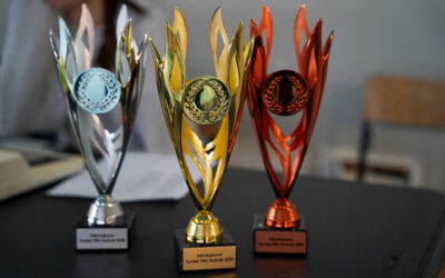 Szkolny Turniej Piłki Nożnej o puchar Dyrektora Szkoły